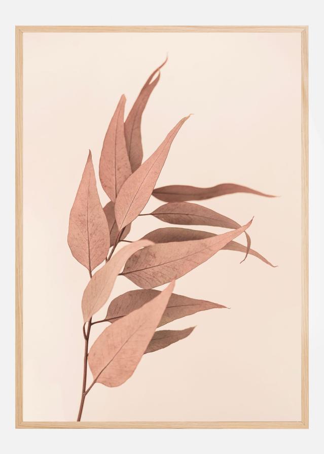 Dried Eucalyptus Plakat