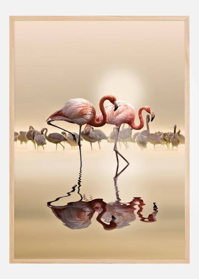 FLAMINGOS Plakat