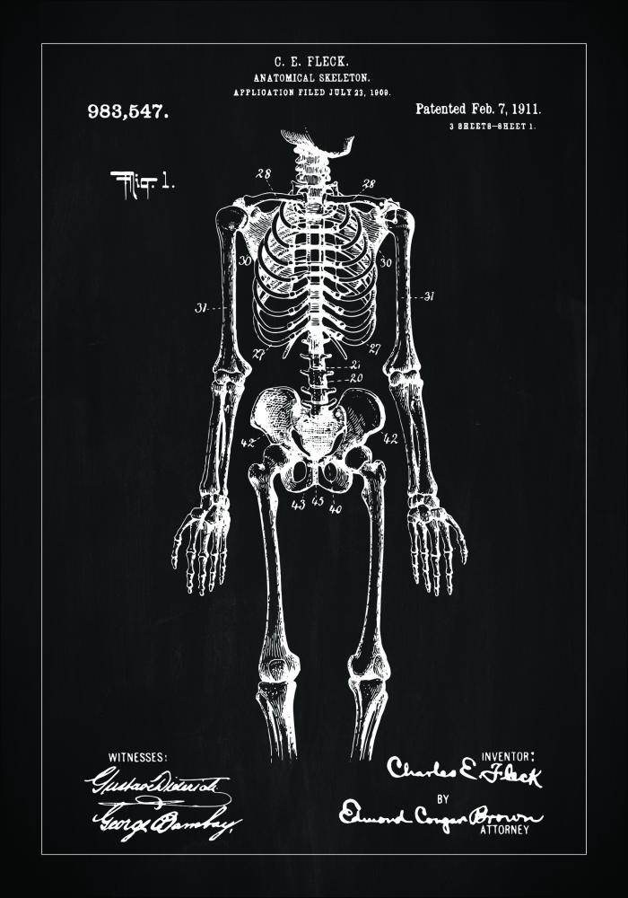 Rysunek patentowy - Anatomiczny szkielet w - Czarny Plakat