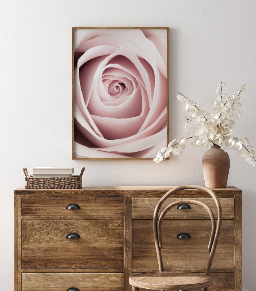 Pink Rose Plakat