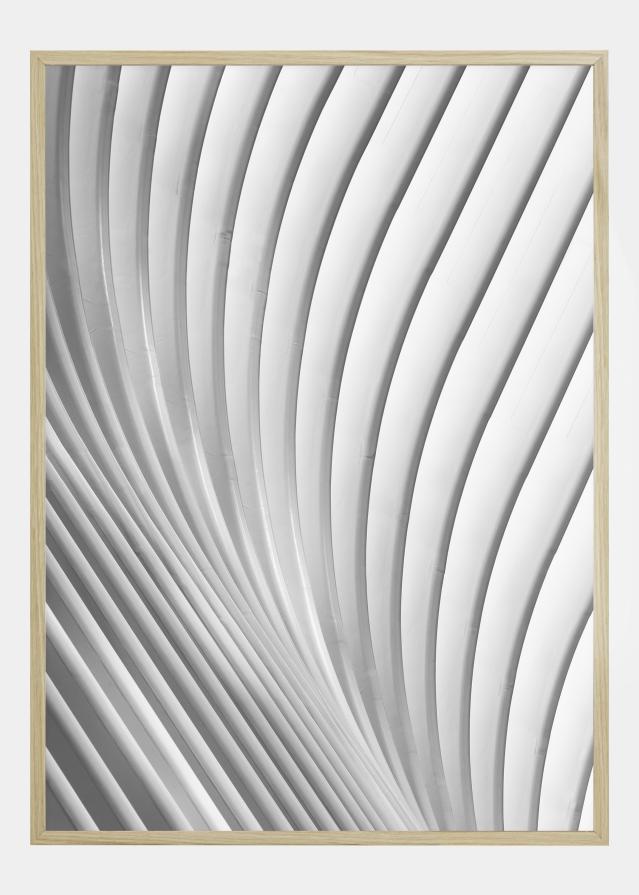 Calatrava Lines Plakat