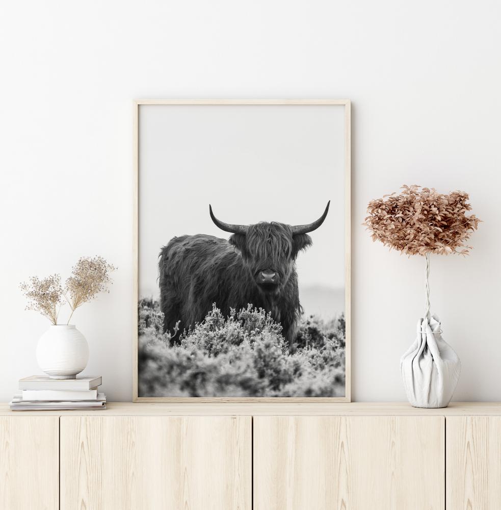 Highlander BW Plakat