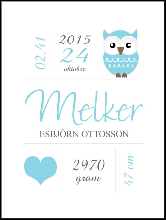 Owl Birth Plakat Blue