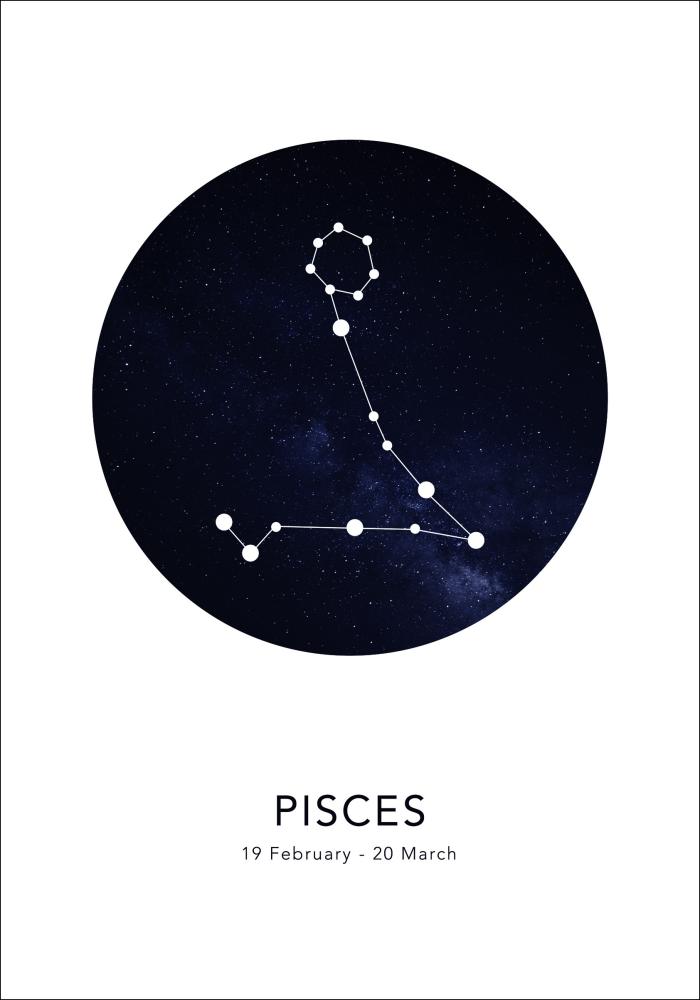 Pisces Plakat