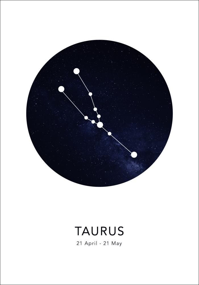 Taurus Plakat