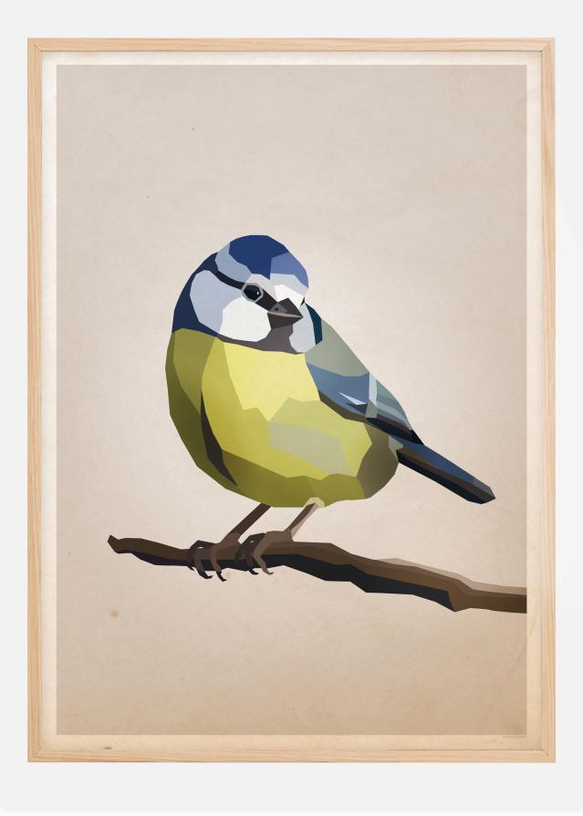 Blue tit Plakat