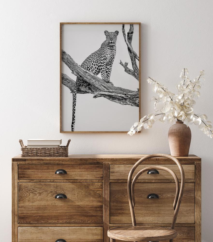 Leopard Portrait Plakat