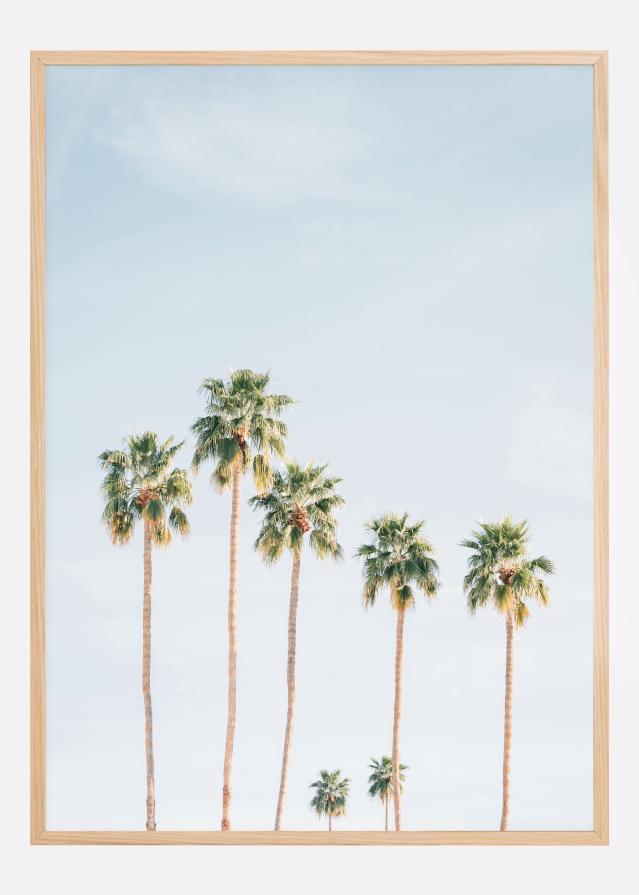 Palm Trees Plakat