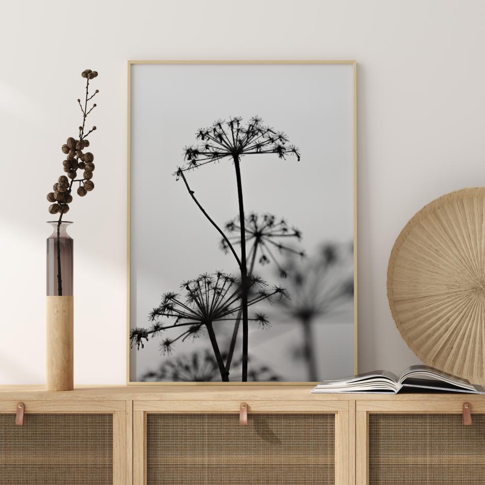 Black And White Flowers Plakat