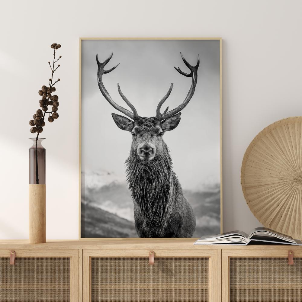 Curious Deer Plakat