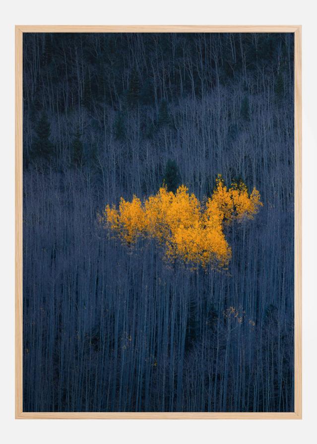 Heart of Aspens Plakat