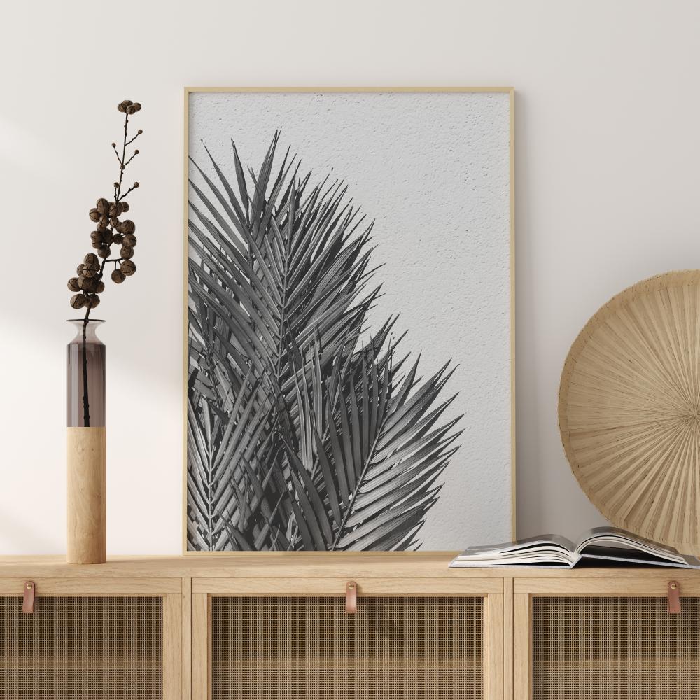 Palm Leaves Plakat