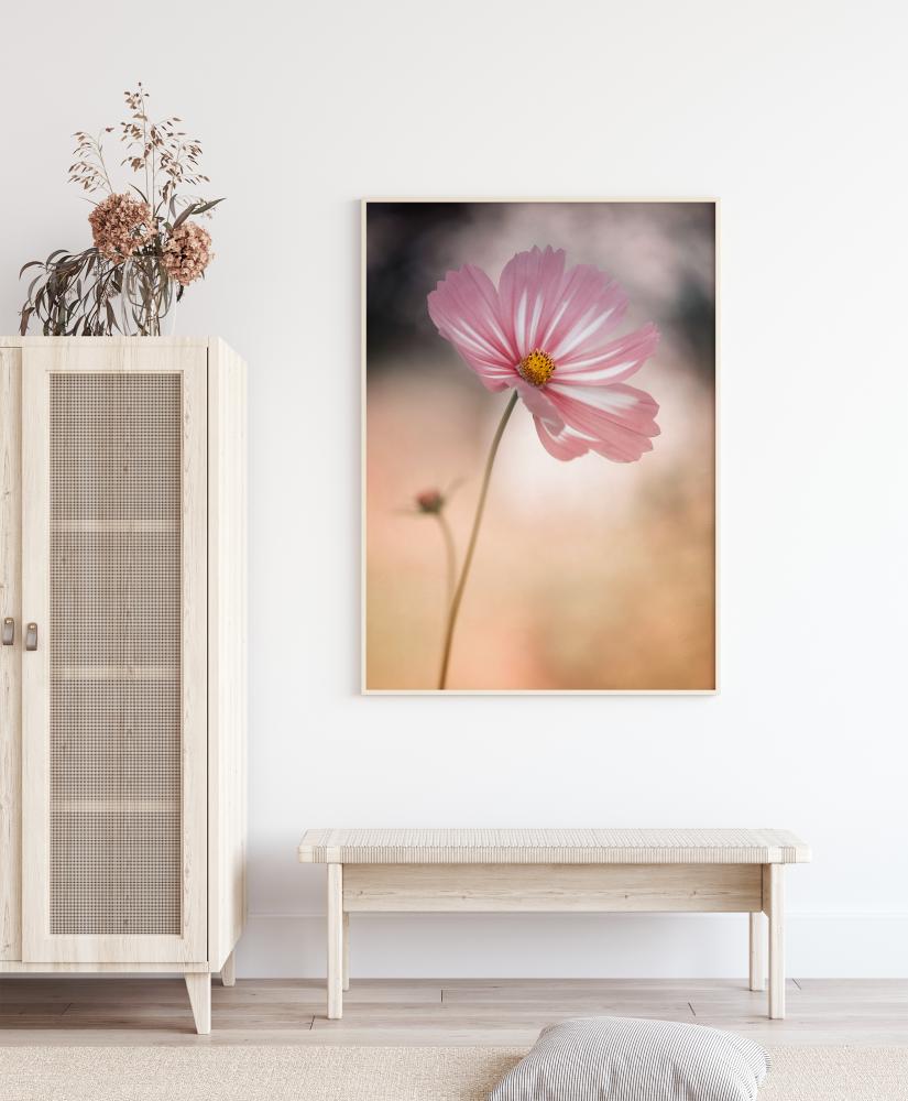 Cosmos Plakat