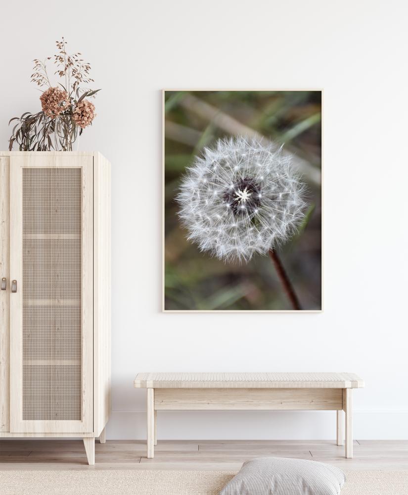 Dandelion Plakat