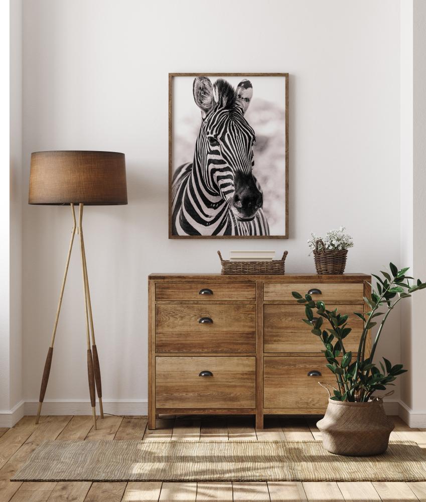 Zebra Plakat