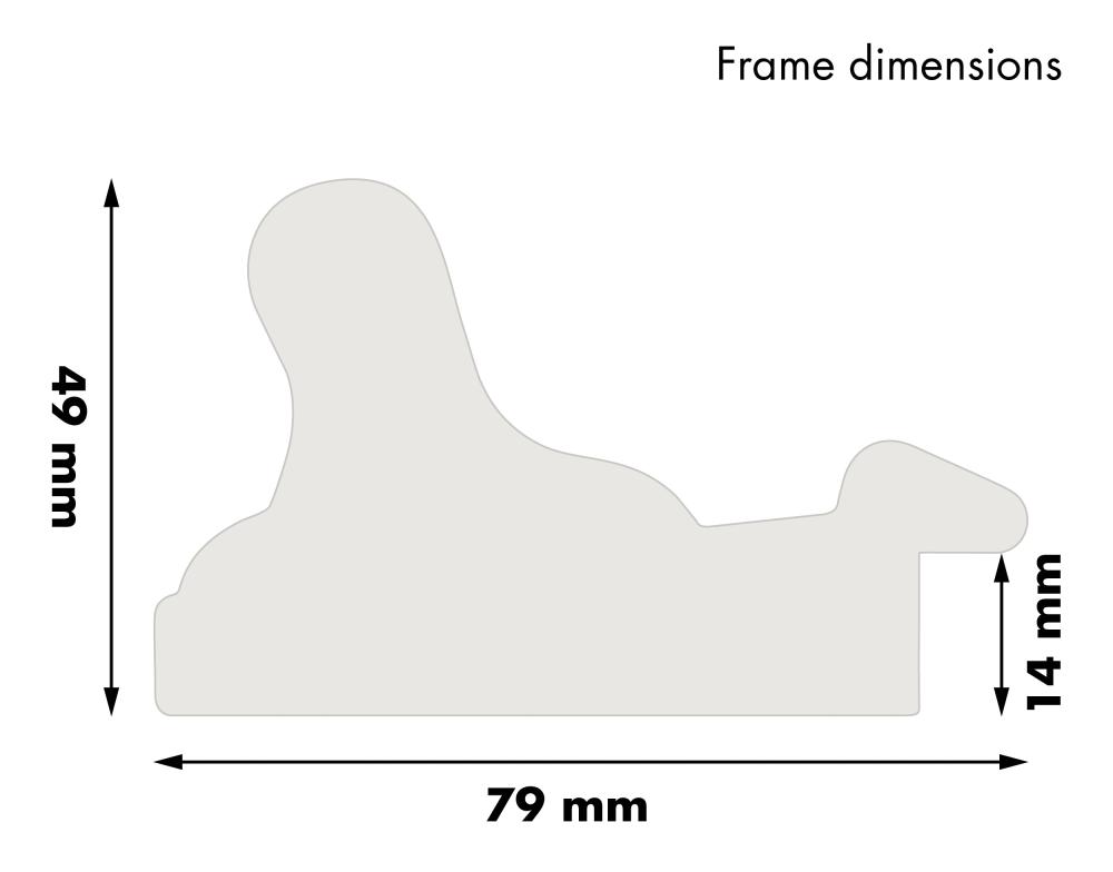 Rama Gysinge Premium Srebrny 25x70 cm