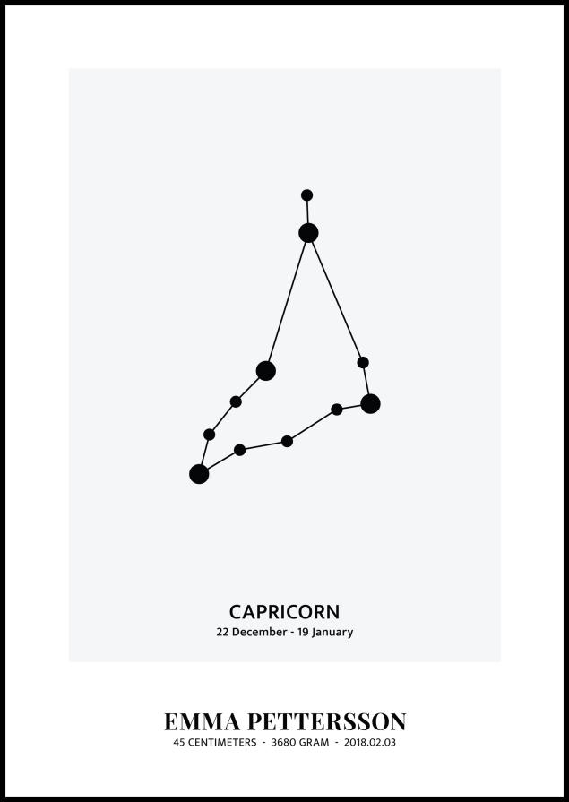 Capricorn - Znak zodiaku