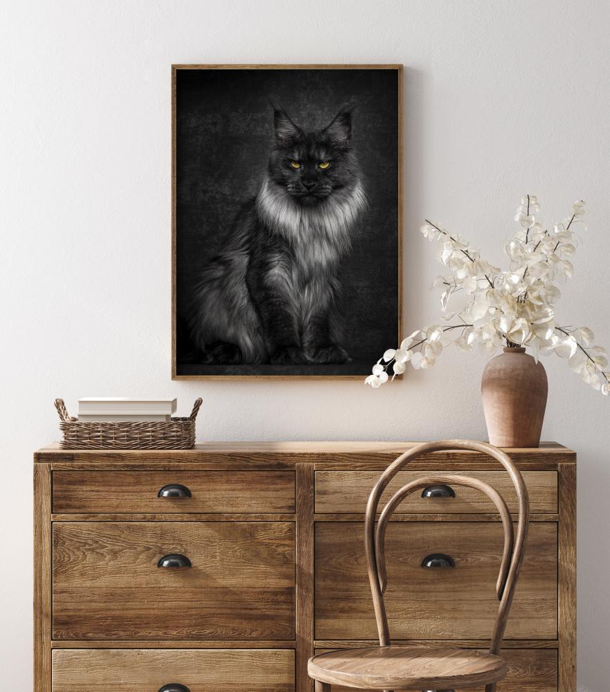 Maincoon Plakat