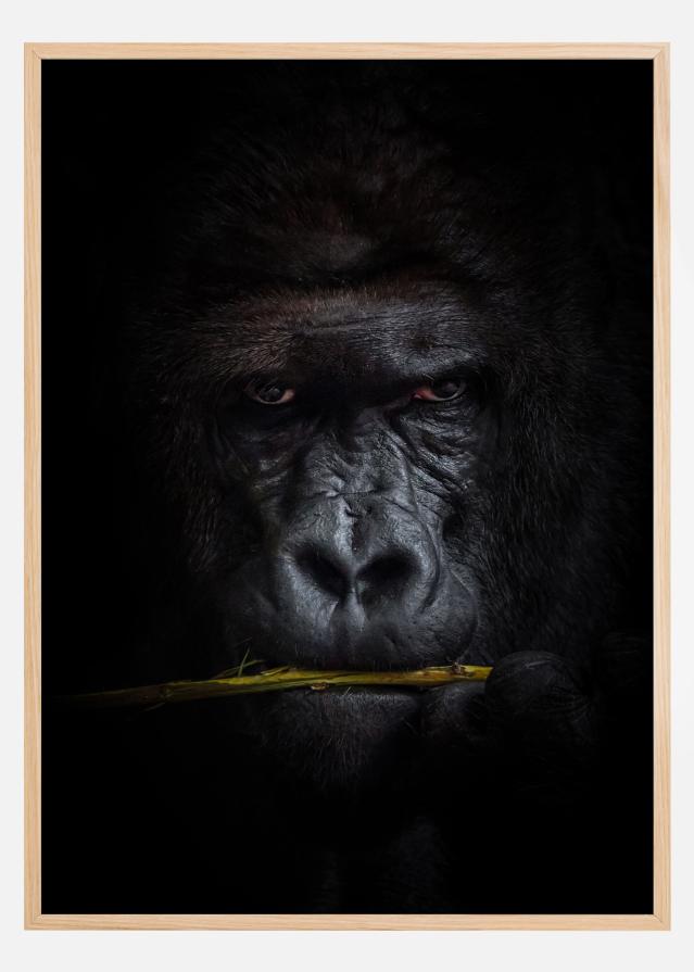 Mysterious gorilla Plakat