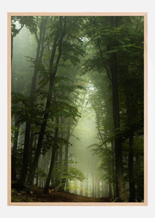 Foggy Forrest Plakat