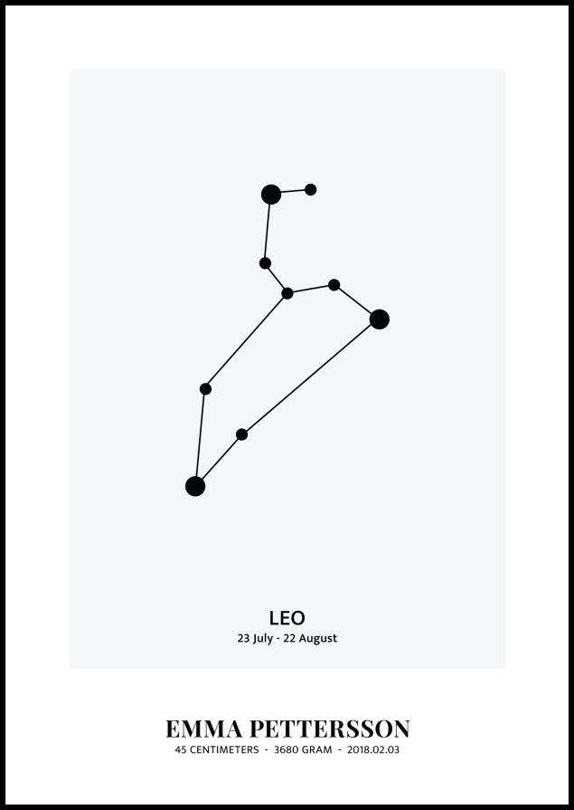 Leo - Znak zodiaku