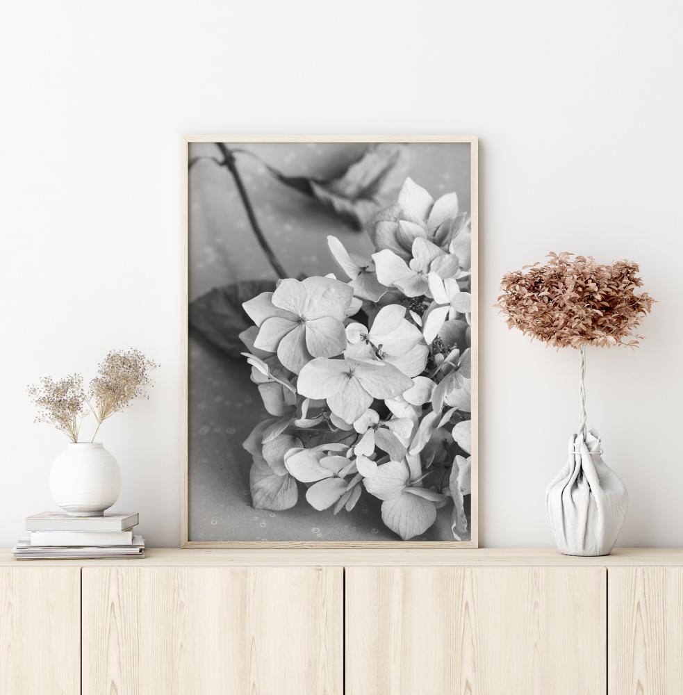 Dried Flower Bw Plakat