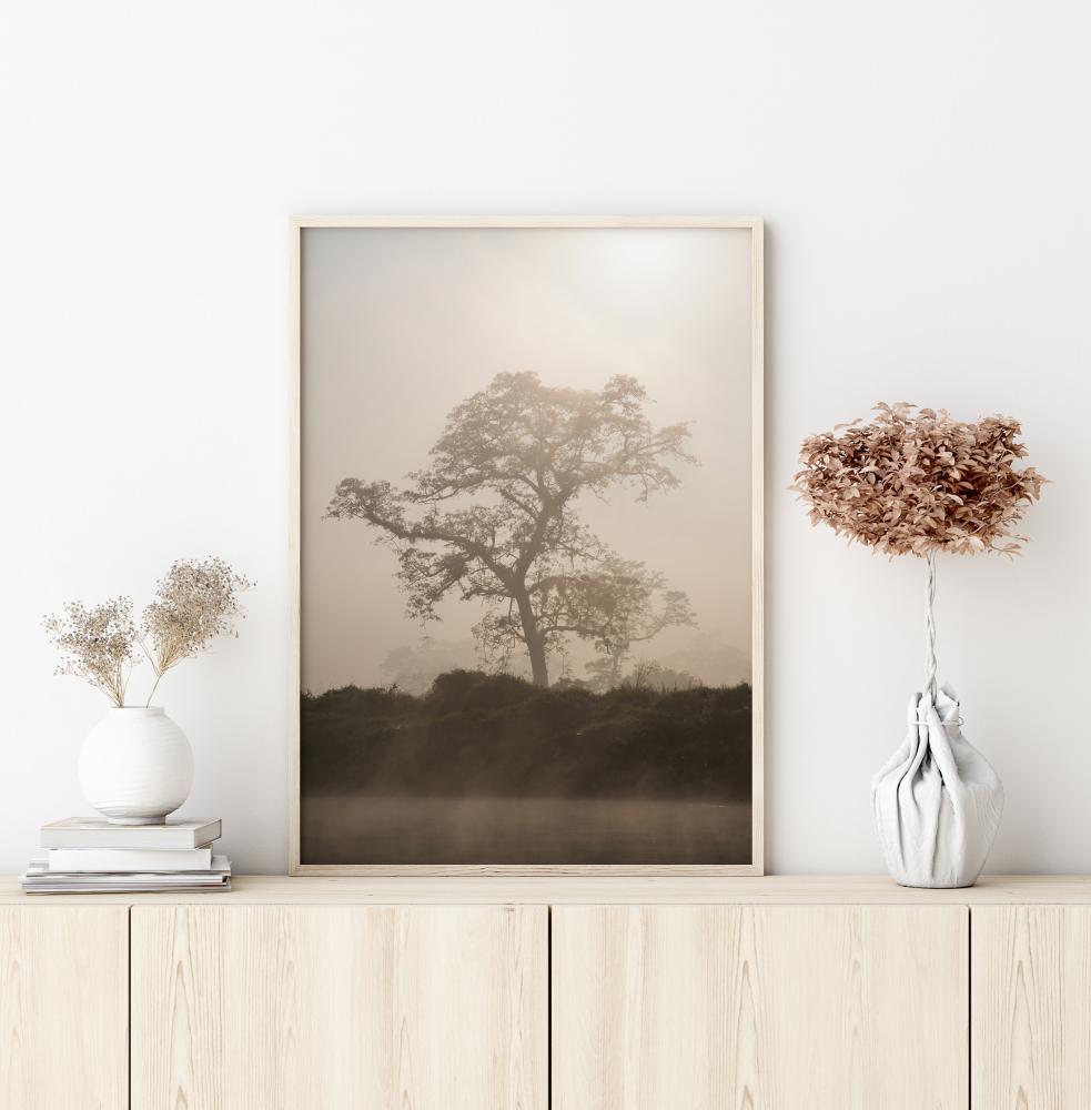 Misty Tree Plakat