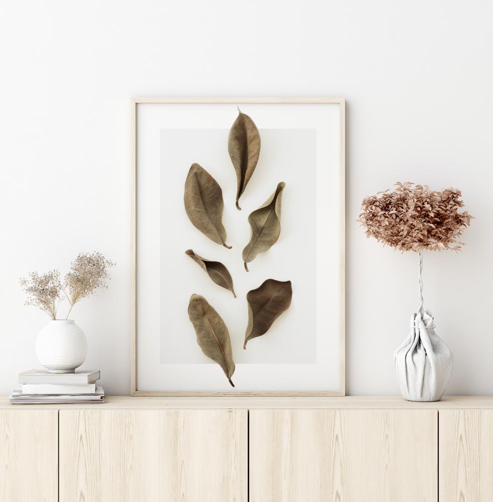 Dried Leaves Plakat