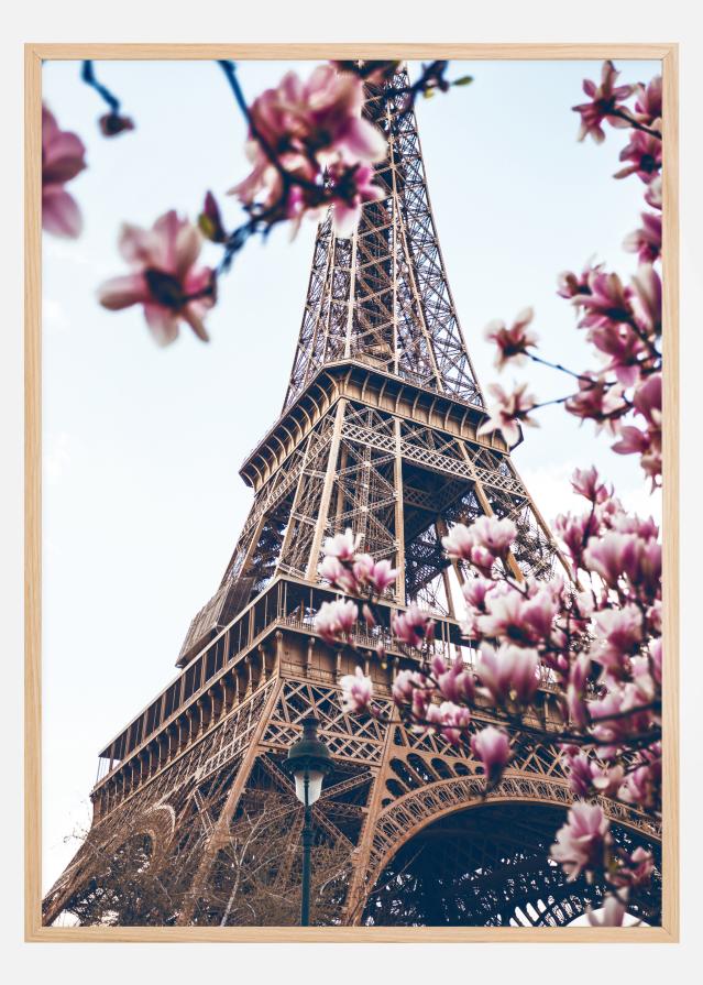 Eiffel Tower Blossoms Plakat