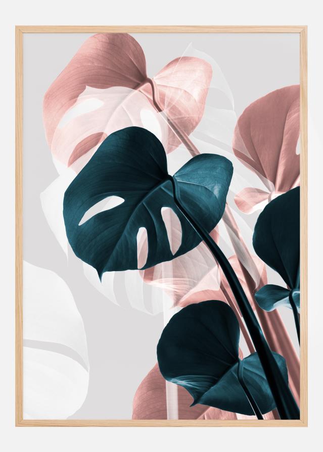 Monstera Creative III Plakat