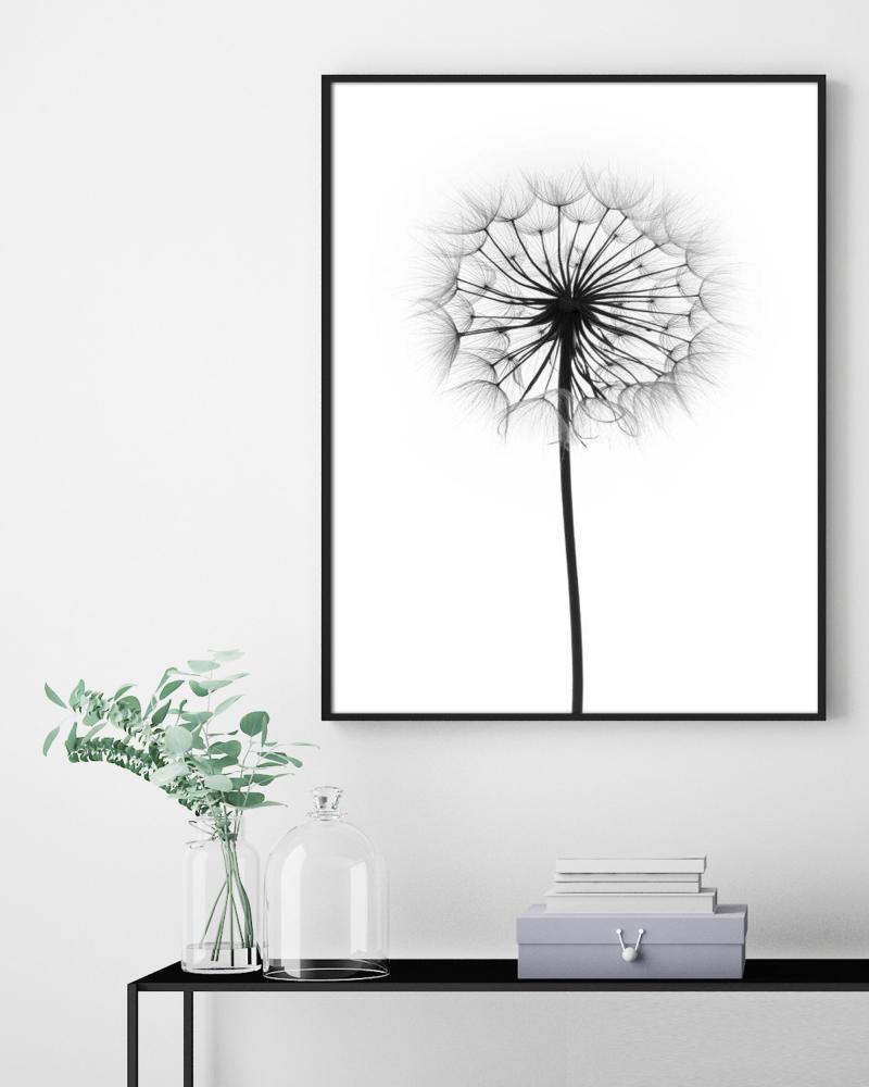 Dandelion Plakat