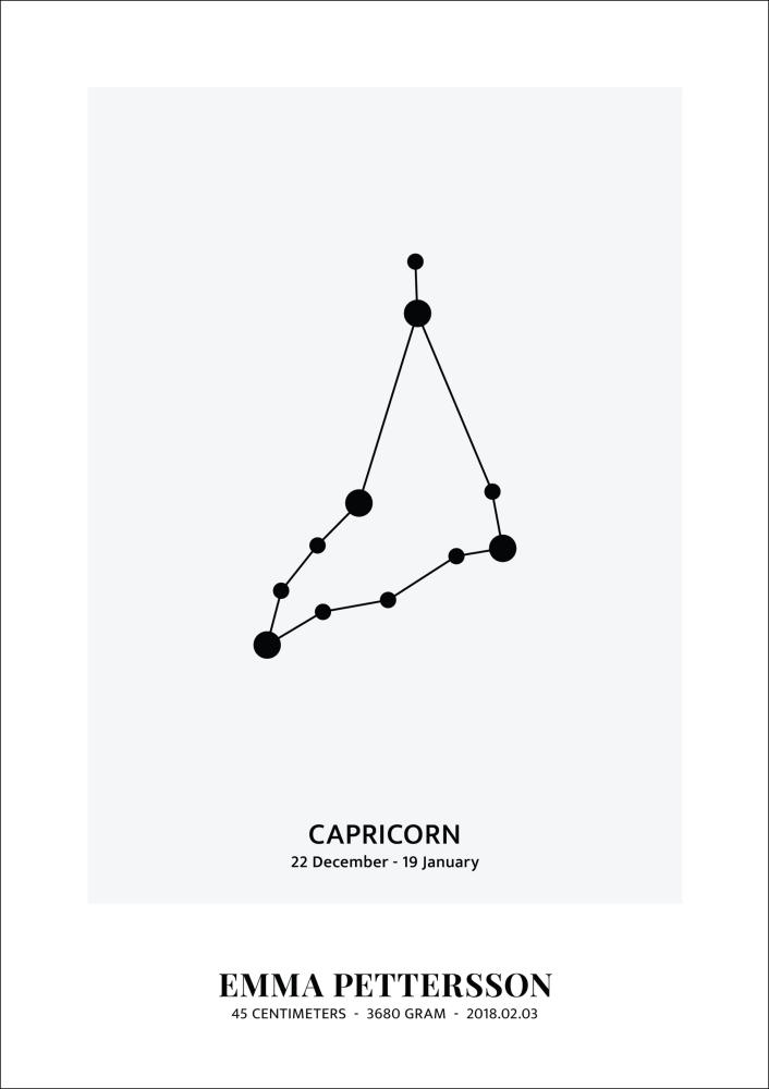 Capricorn - Znak zodiaku