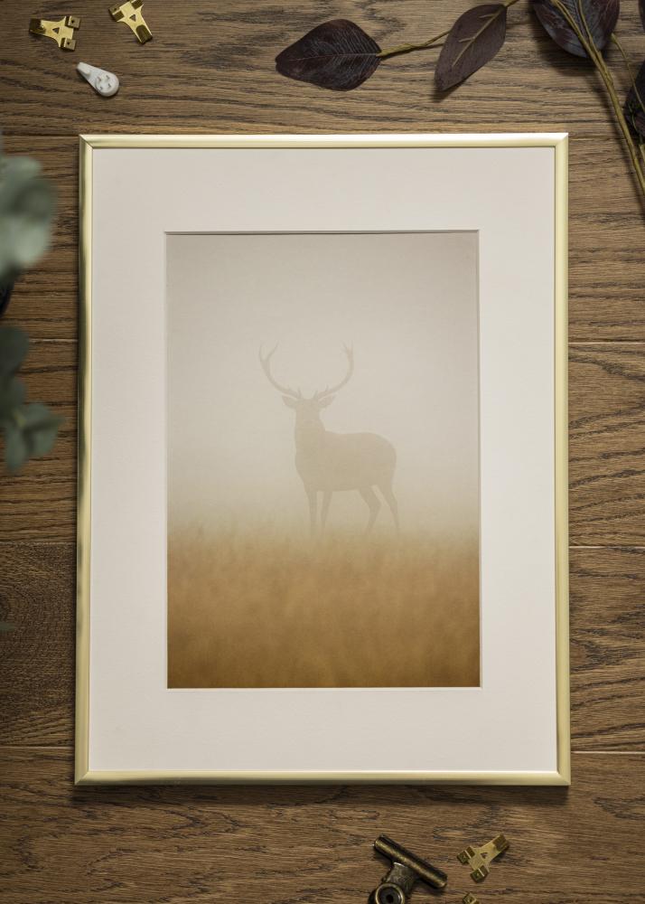 Rama Plakat Frame Aluminum Gold 18x24 cm