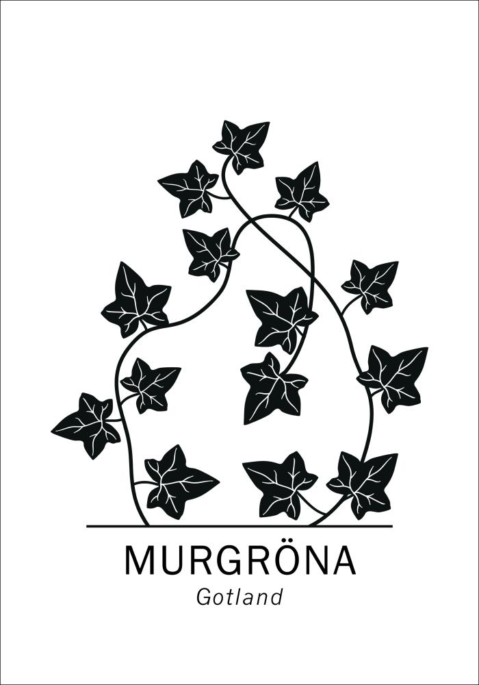 Murgröna - Gotland Poster