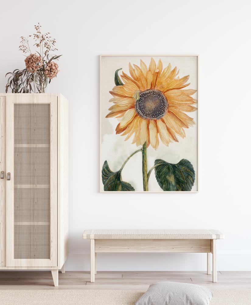 Sunflower Art Plakat