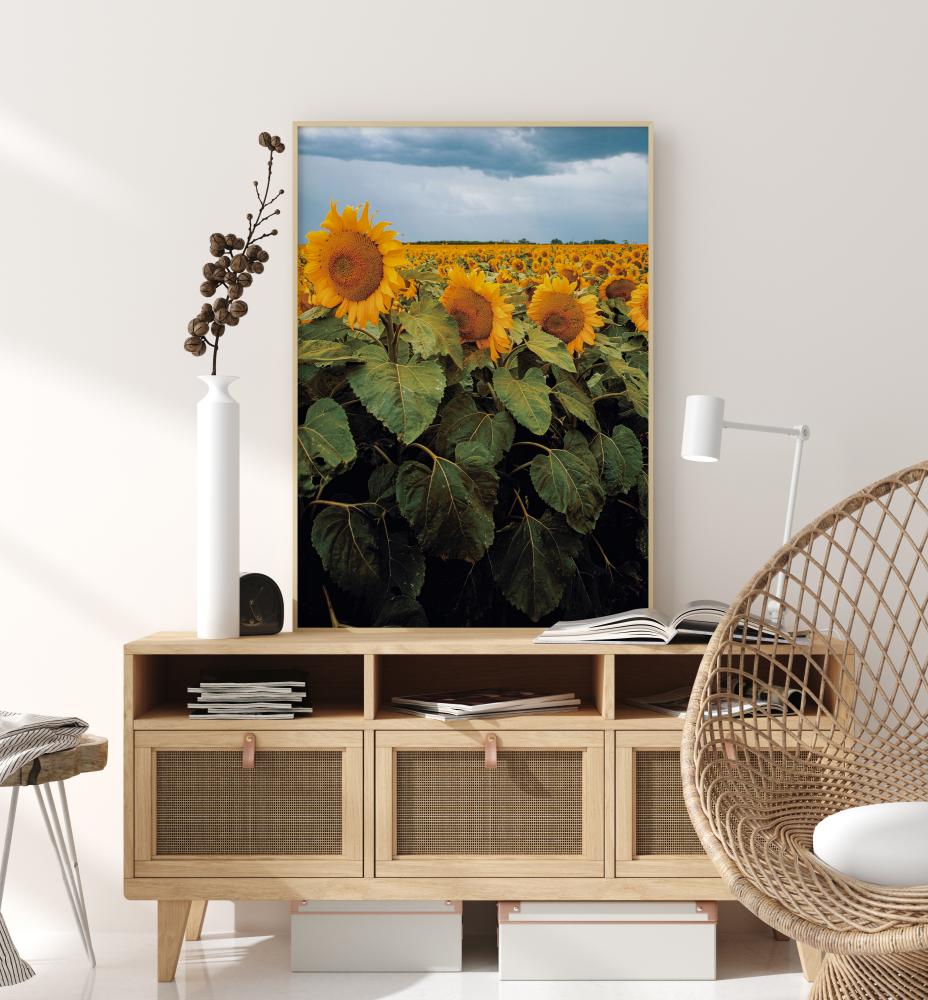 Sunflowers Plakat