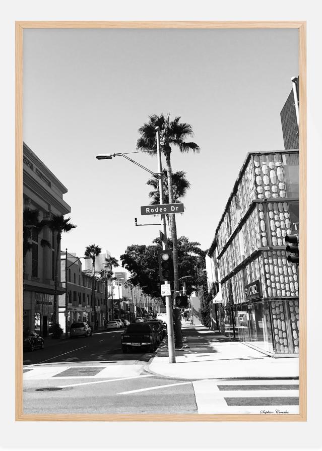 Rodeo drive Plakat