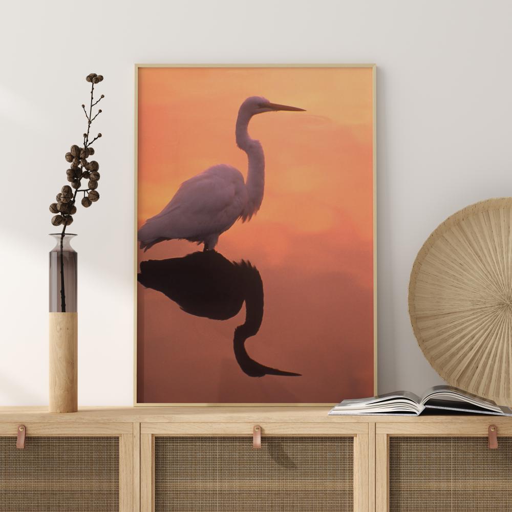 Bird In Orange Water Plakat