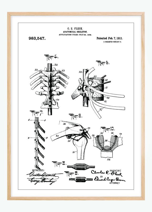 Rysunek patentowy - Anatomiczny szkielet III Plakat