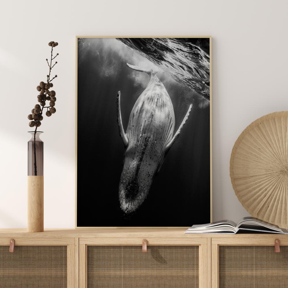 Black A Whale Plakat