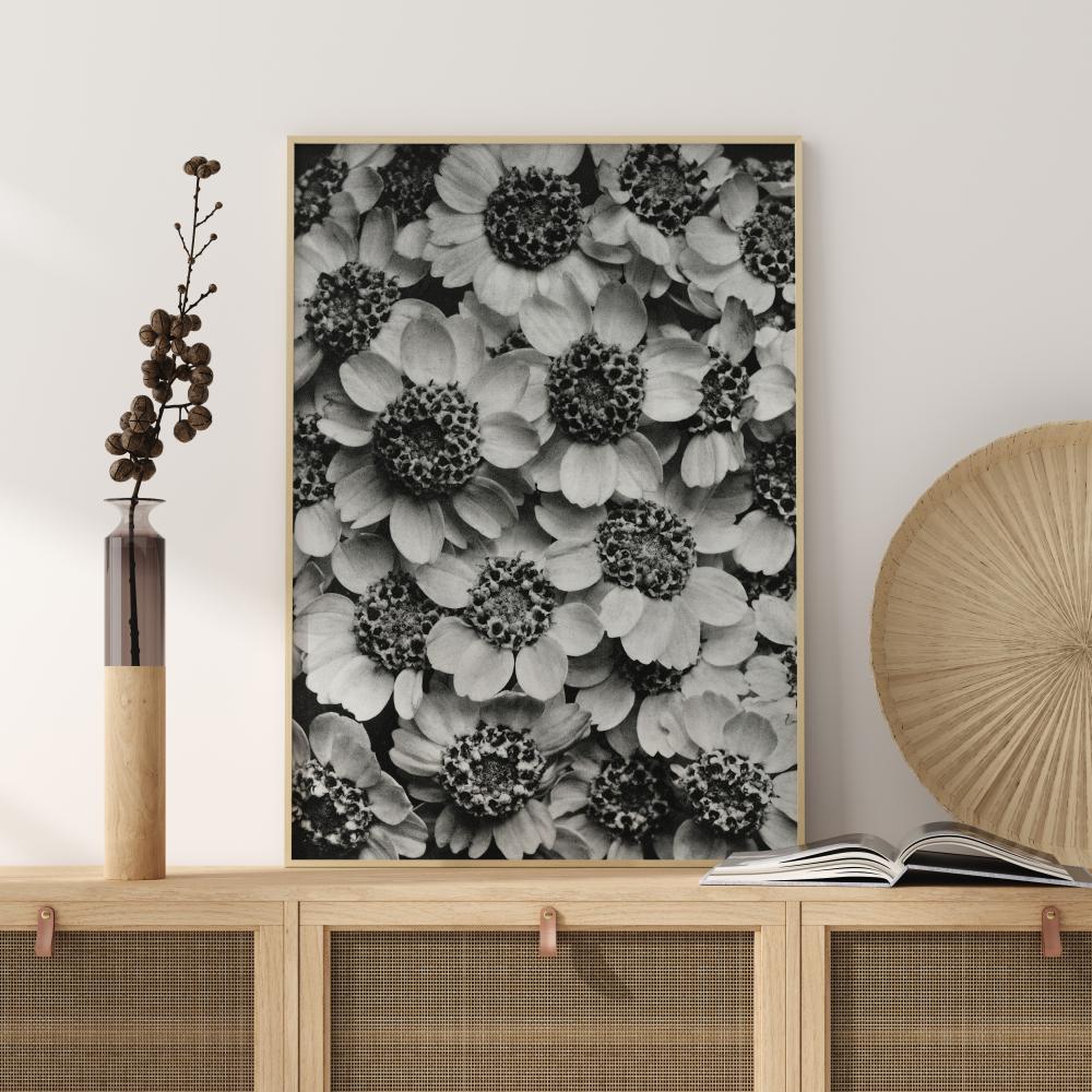 Black And White Flowers Plakat