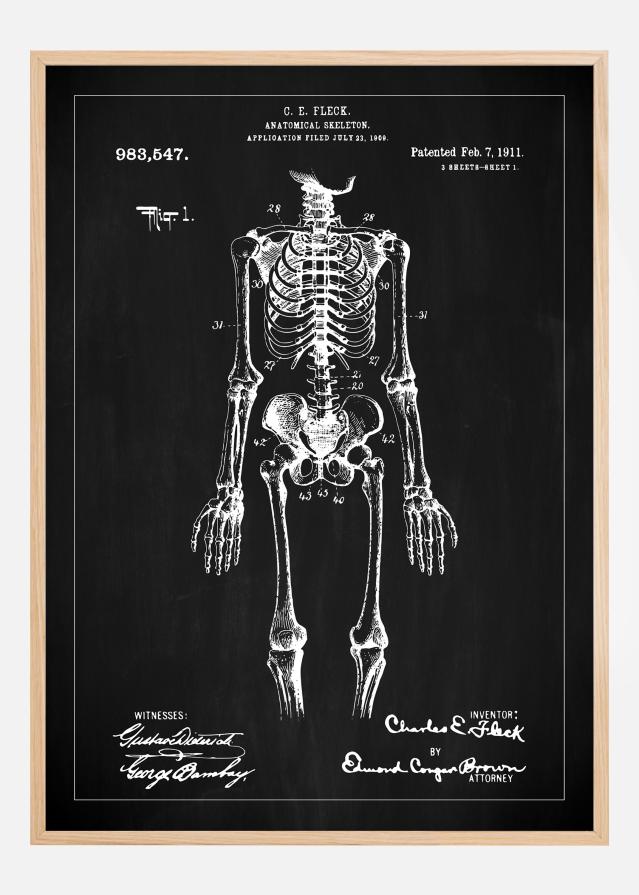 Rysunek patentowy - Anatomiczny szkielet w - Czarny Plakat