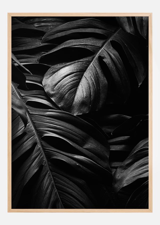 Black Leaves Plakat