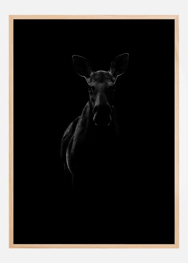 Black Moose Plakat