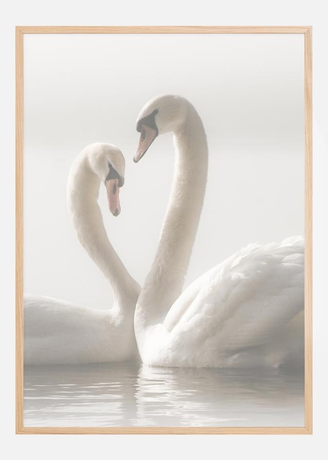 Swan Forever Plakat