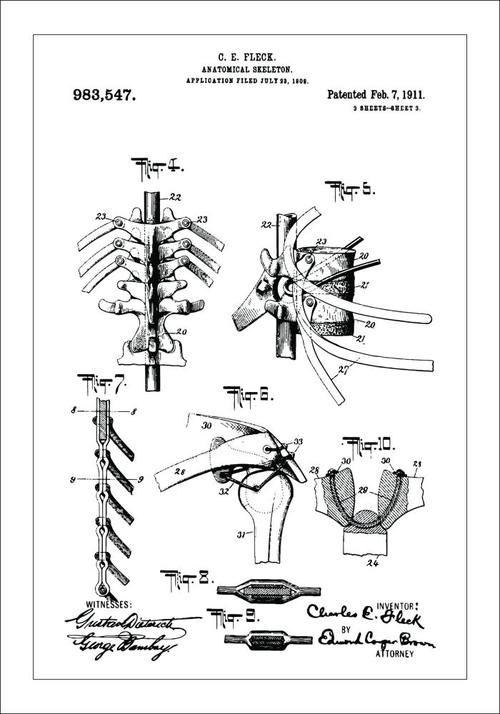 Rysunek patentowy - Anatomiczny szkielet III Plakat