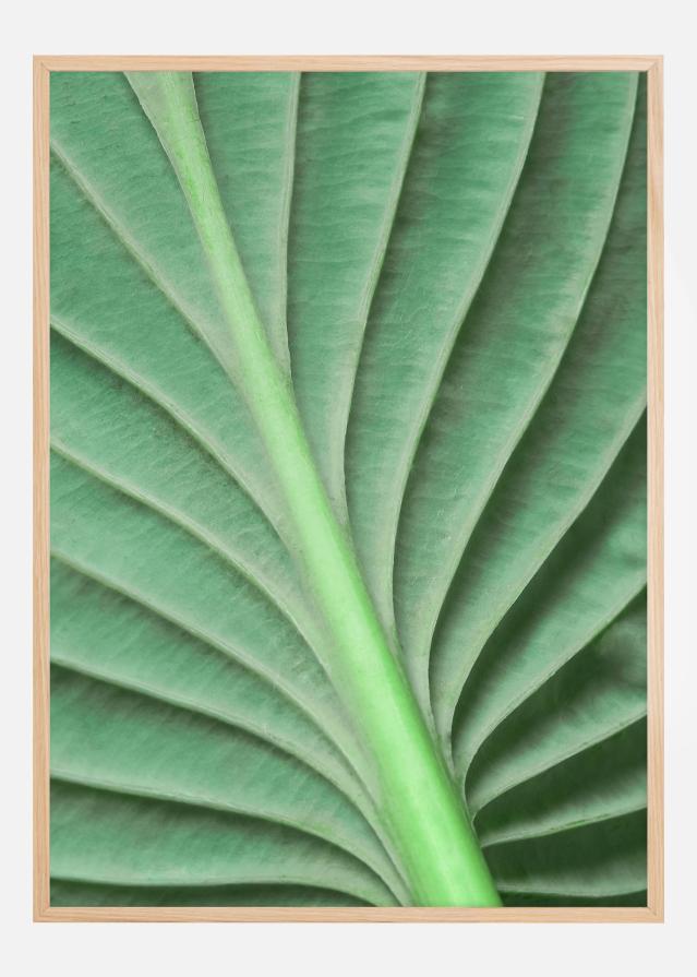 Leaf Plakat