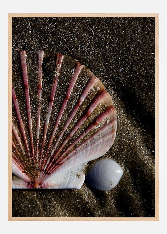 Shell Plakat