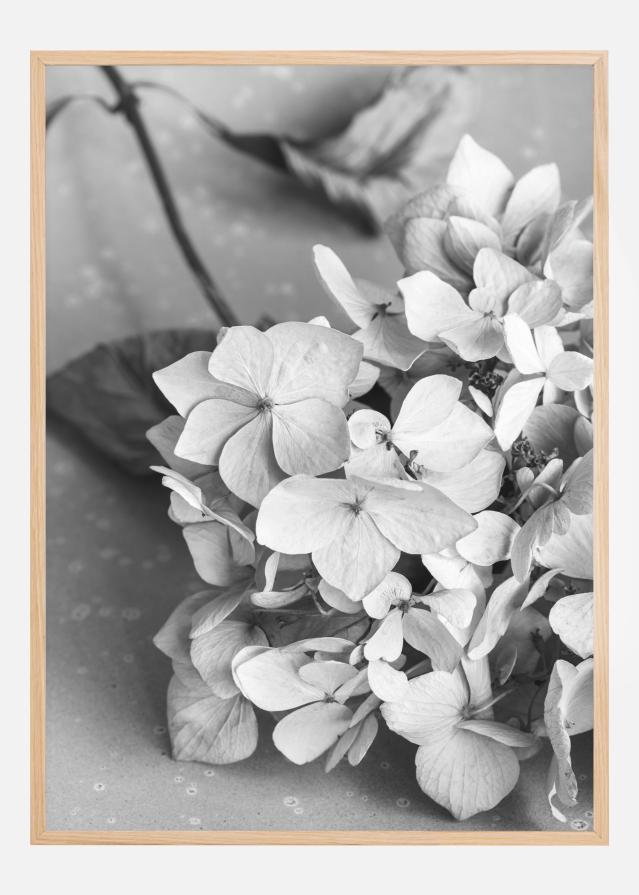 Dried Flower Bw Plakat